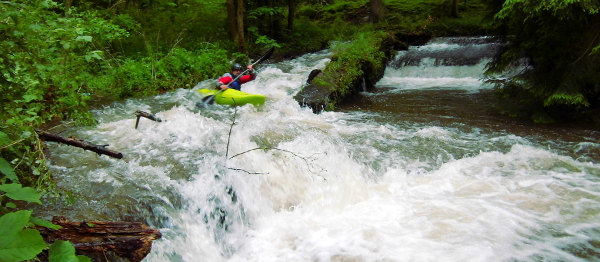 Olešenka – perlička Orlických hor