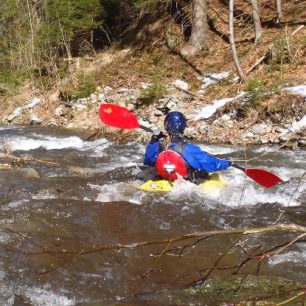 Střední Opava – čistý horský potok / F: Marek Palisa