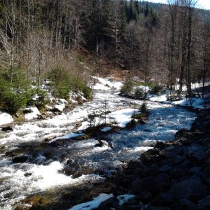 Střední Opava – čistý horský potok / F: Marek Palisa
