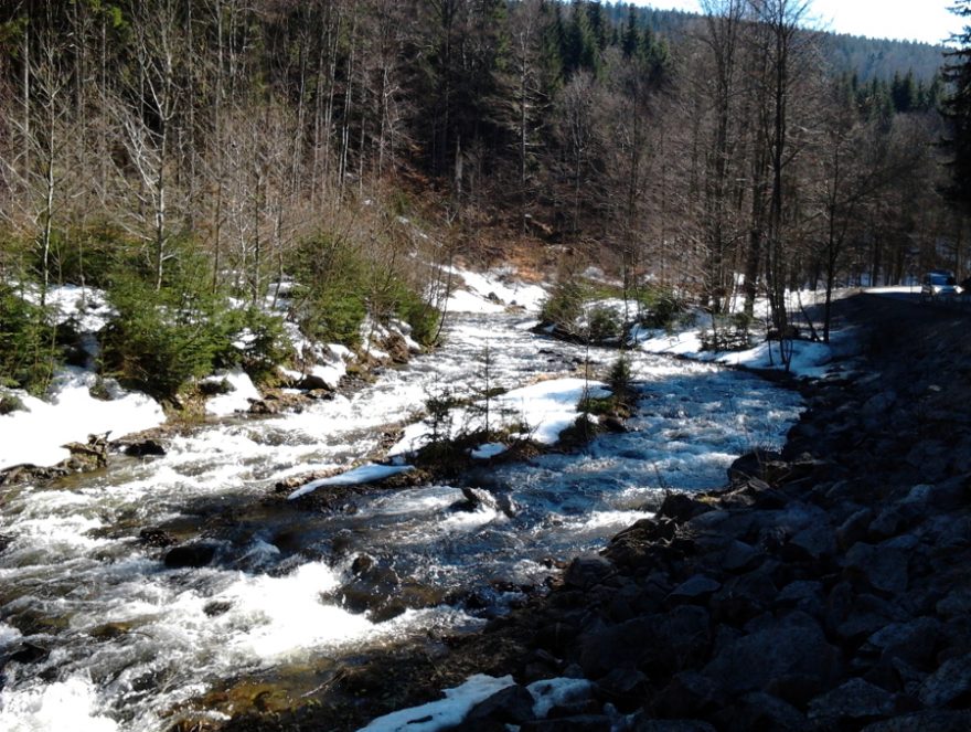 Střední Opava – čistý horský potok / F: Marek Palisa