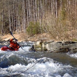 Střední Opava – čistý horský potok / F: Marek Palisa
