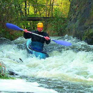 Kocába – nikdy nevíš, co tě čeká