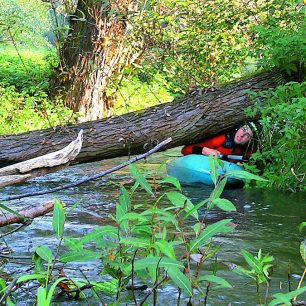 Kocába – nikdy nevíš, co tě čeká