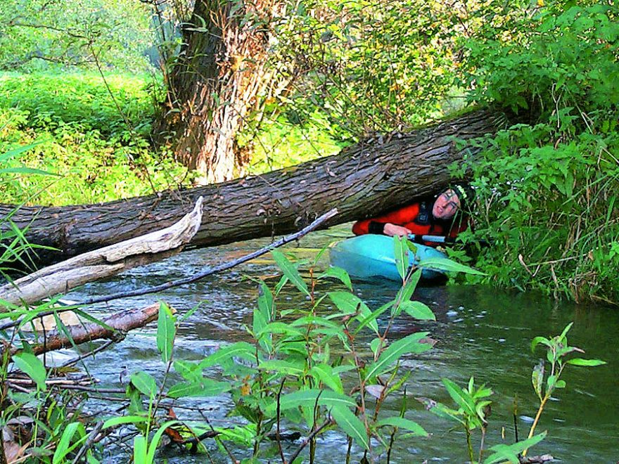 Kocába – nikdy nevíš, co tě čeká