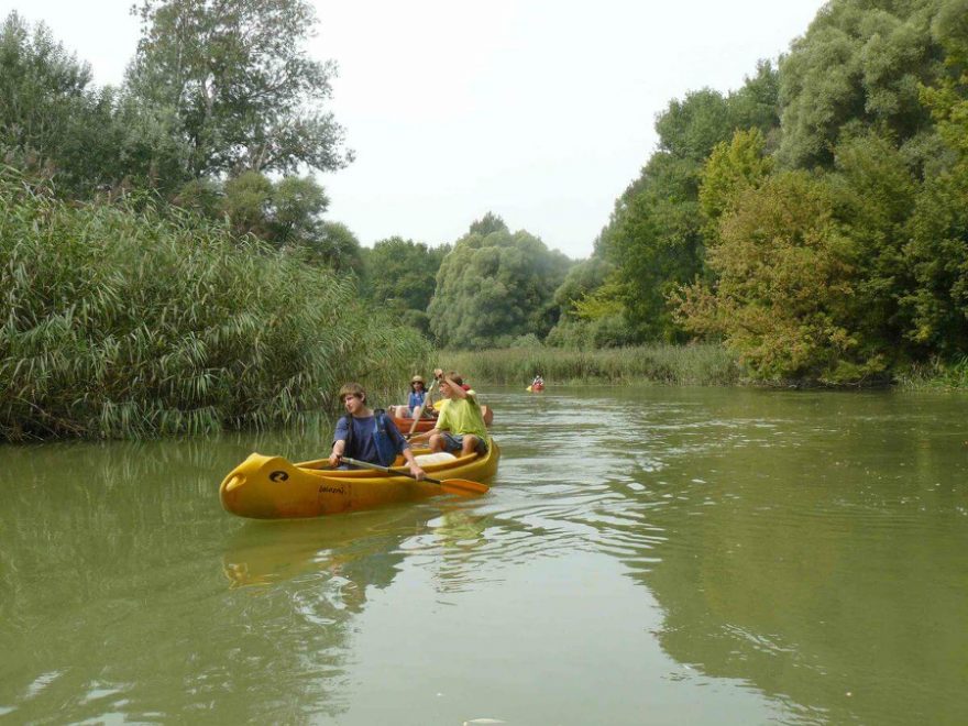 Lužná krajina v slovensko-maďarskom pohraničí. Na brehu niet o čo stáť, o to krajšia je lužná džungľa z vody (s komármi to zďaleka nie je také strašné ako napríklad na Lužnici). / F: archiv Tomáš Potfaj