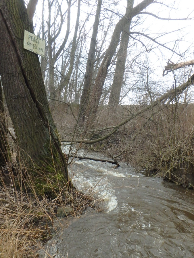 Nájezd do peřeje Amerika