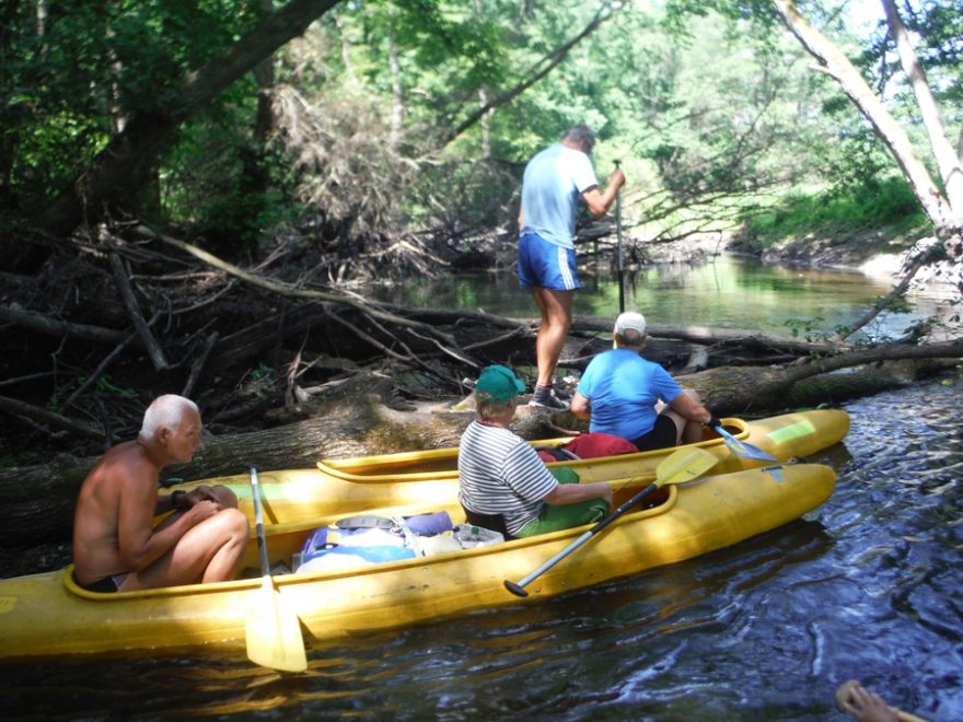Všude stromy, zas a zas...