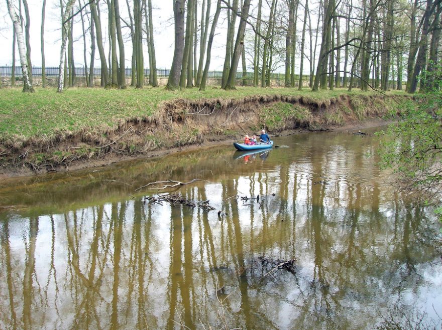 V Žehušické oboře / F: Václav Ledbuška