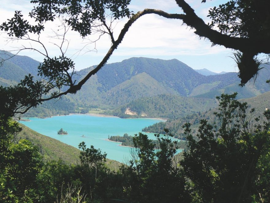Vydali jsme se i na pěší túru, která nás odměnila výhledy na záliv Kaiuma / F: Lenka Vaňková