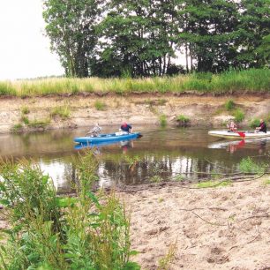 Meandr Parsęty na Bialogardem