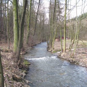Brodečka nad koupalištěm před Otaslavicemi / F: Franta Prokeš