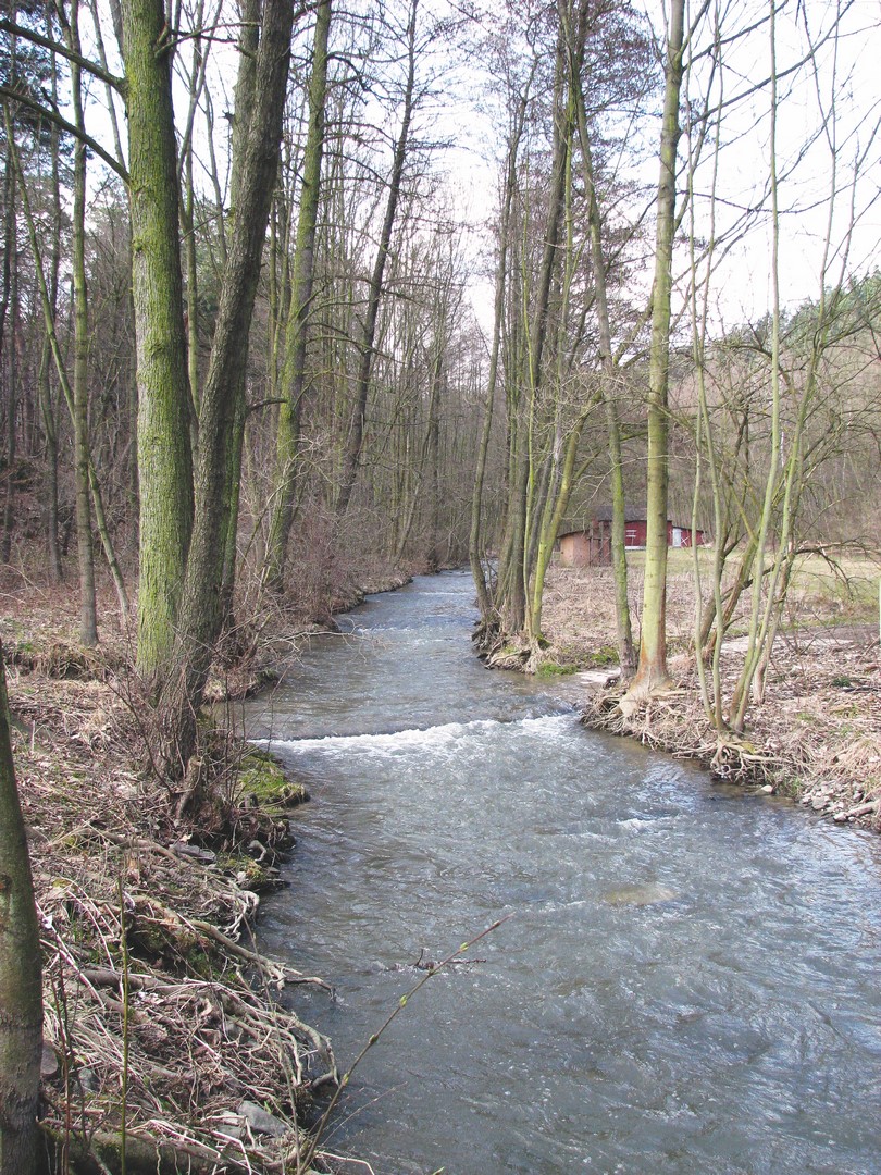Brodečka nad koupalištěm před Otaslavicemi / F: Franta Prokeš