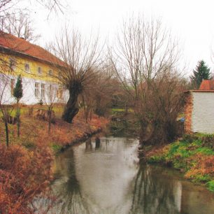 Zátiší v Kobeřicích / F: Franta Prokeš