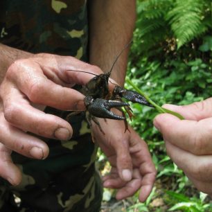 Podej mi prst... / F: Franta Prokeš