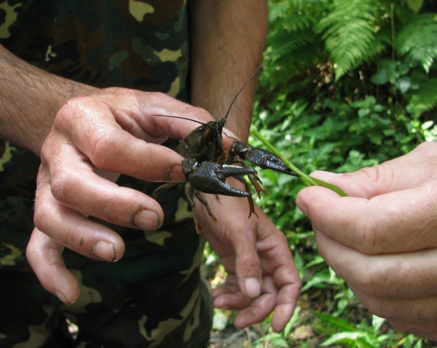 Podej mi prst... / F: Franta Prokeš
