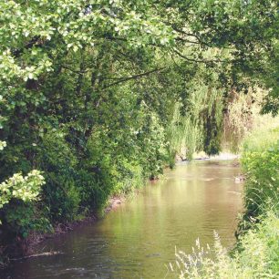 Brodečka 200 metrů nad ústím do Hané / F: Franta Prokeš