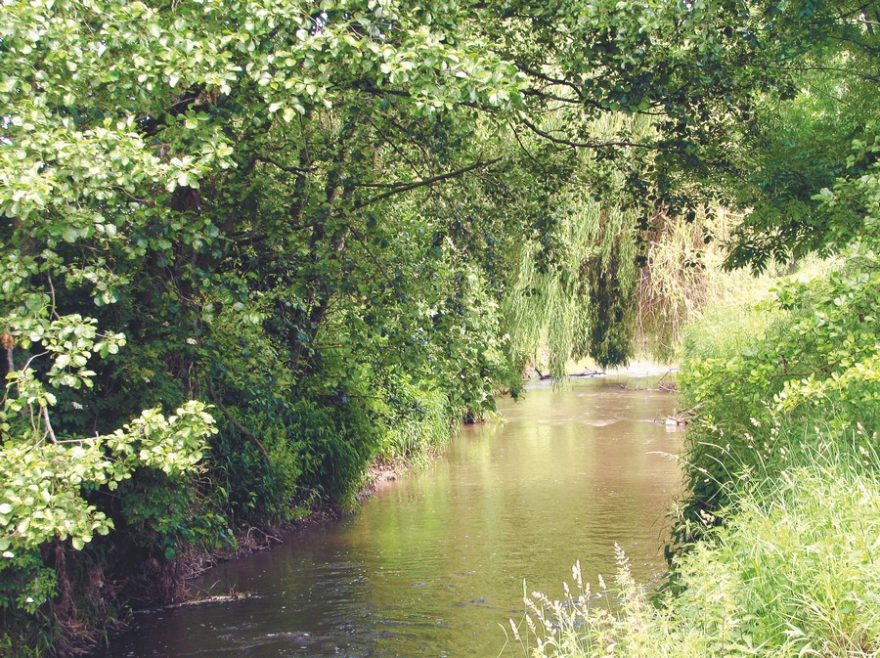 Brodečka 200 metrů nad ústím do Hané / F: Franta Prokeš