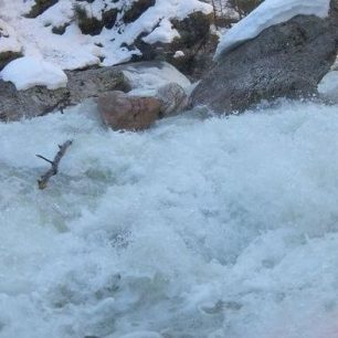 První letošní obleva proběhla a ve vodácky populárních řekách je víc stromů než obvykle. Podívejte se kde.