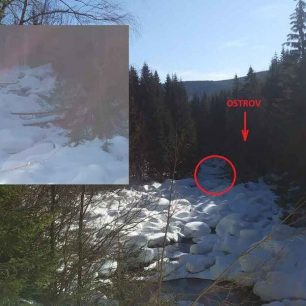 Pohled do koryta horní Jizery a označené stromy / F: Pavel Hodur