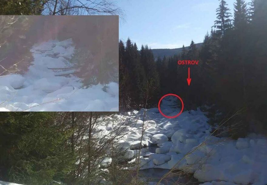 Pohled do koryta horní Jizery a označené stromy / F: Pavel Hodur