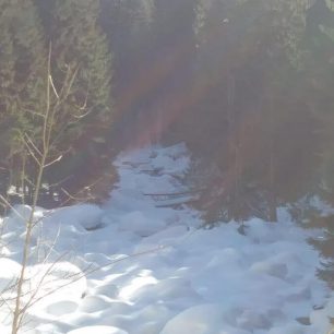 Pohled do koryta horní Jizery / F: Pavel Hodur