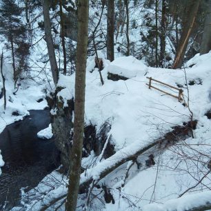 I na německé Wolfsteiner Ohe a jejích zdrojnicích je stromů mnoho / F: Jarda Jakoubek