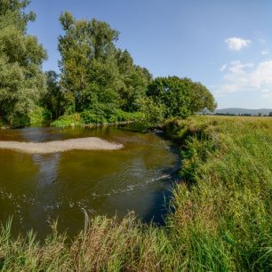 Meandry řeky Moravy