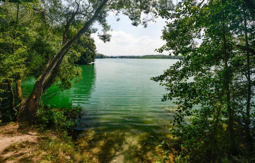 Pískovna Moravičanské jezero. Čistá voda a písečné pláže lákají ke koupání