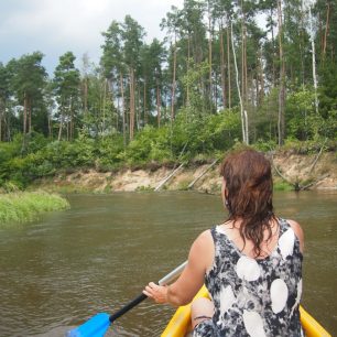 Kwisa - typické písečné podemleté břehy borovic a bobrů / F: SUNDISK Family