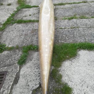 Náhledový obrázek