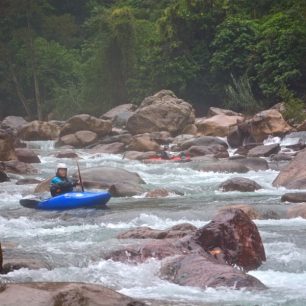 Borůvka kličkuje mezi kameny