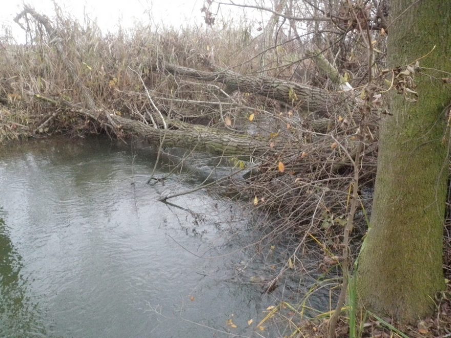 zátaras na Mlýnském potoku