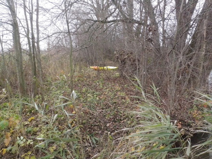 zarostlé břehy Mlýnského potoka