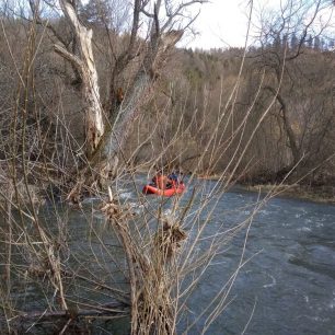 I na Odře hrozí najetí do vrbiček / F: archiv Hrab Boats