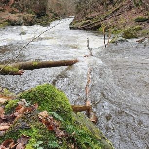 Příjezd do Prádelny, menší strom zároveň s hladinou už je odstraněný (stav 25. 2.), větší lze opatrně podjet vlevo / F: Honza Kolář