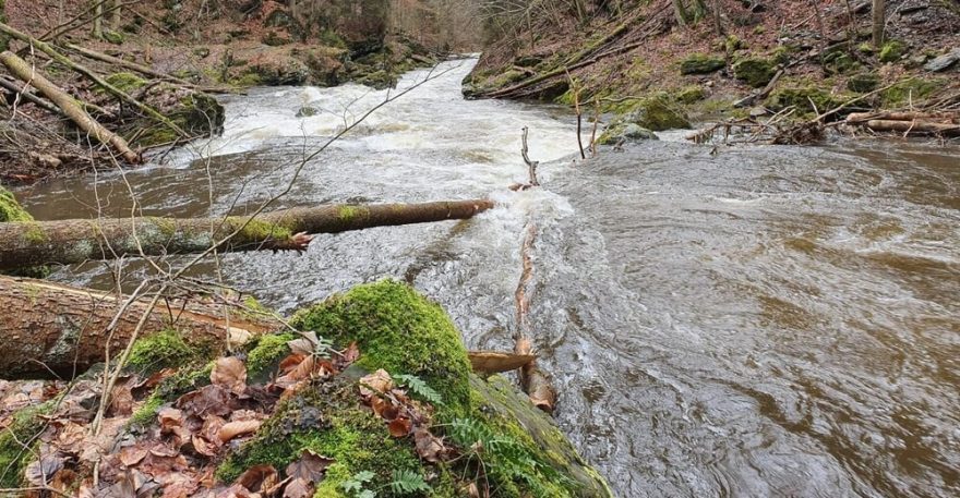 Příjezd do Prádelny, menší strom zároveň s hladinou už je odstraněný (stav 25. 2.), větší lze opatrně podjet vlevo / F: Honza Kolář