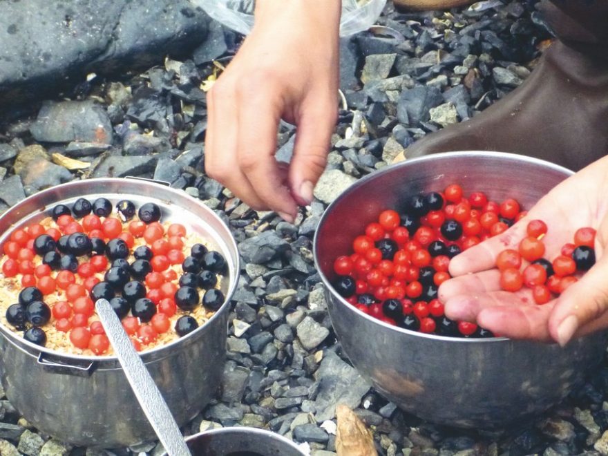 Polní kuchyně a strava z přírody