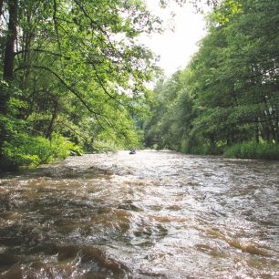 Blížíme se na Borač, v pozadí železniční most ř.km 85,1