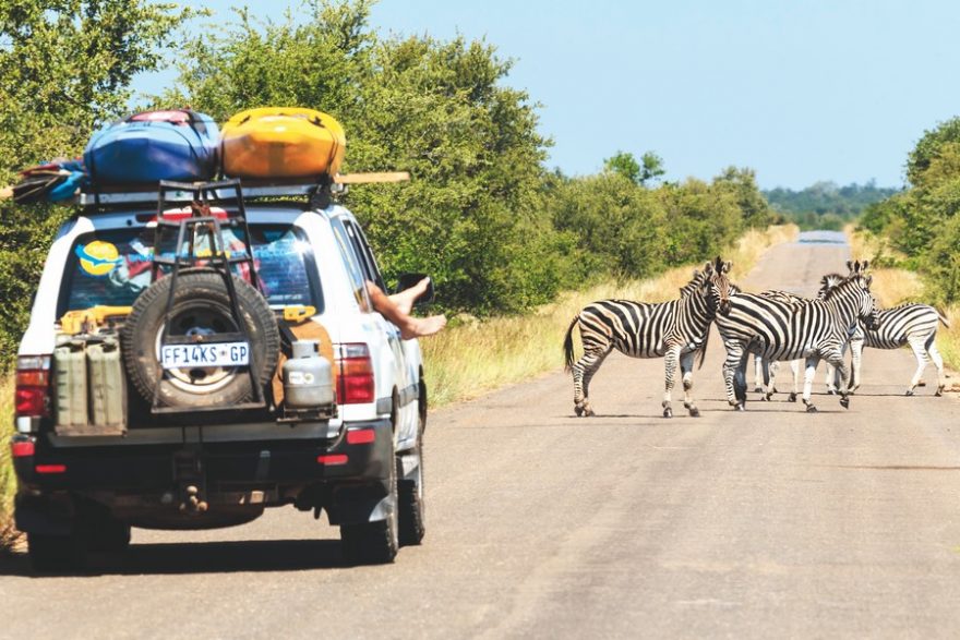 Občas jsme na cestě potkali koně v pyžamu / F: David Vory Sodomka