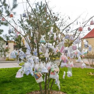 Rouškovník v Ronově nad Doubravou