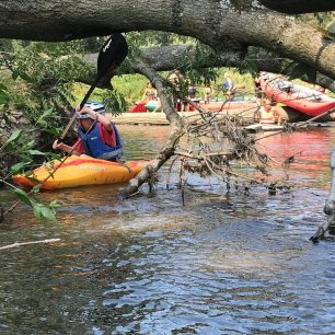 Na vodě je třeba počítat i s nečekanými překážkami, třeba padlými stromy / F: Filip Kolman