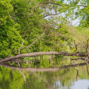 Takových míst je na Dyji nepočítaně / F: archiv www.lodedyje.cz