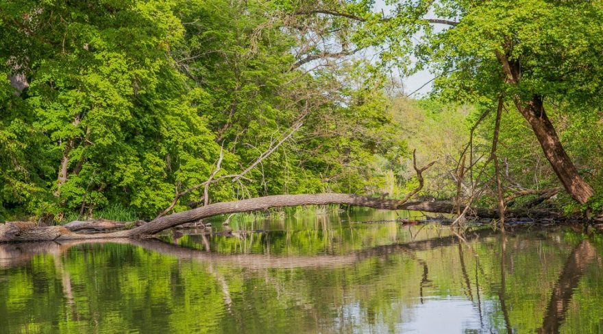 Takových míst je na Dyji nepočítaně / F: archiv www.lodedyje.cz
