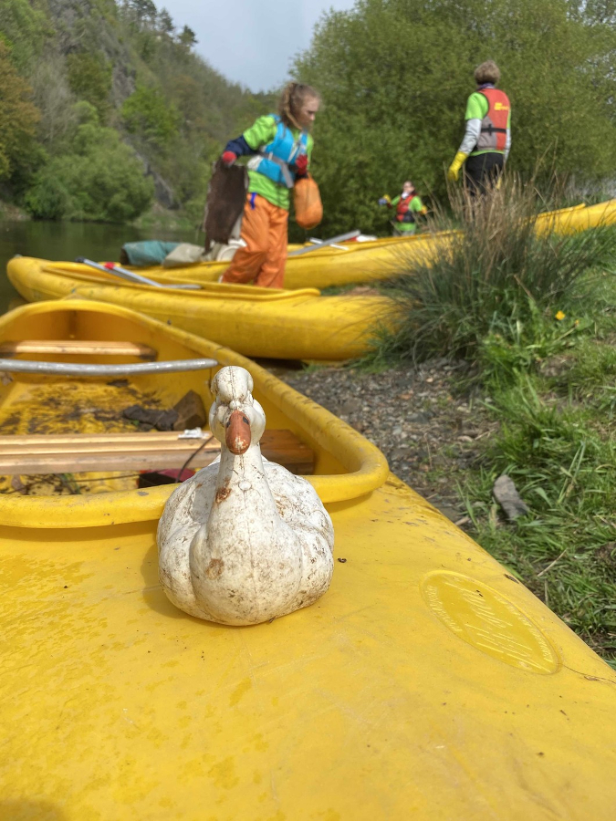 Čistá řeka Sázava / F: archiv Posázaví o.p.s.