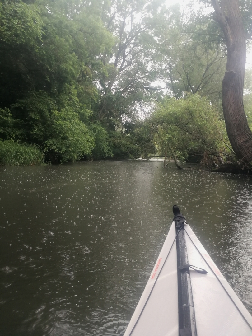 Meandry Dyje představují plavbu po nádherné lužní meandrovité řece plné přírody, překvapení a samoty