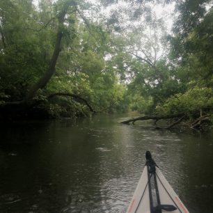 Ne nadarmo se tomuto úseku říká Moravská Amazonka