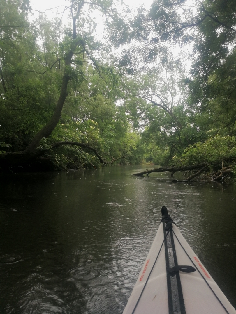 Ne nadarmo se tomuto úseku říká Moravská Amazonka