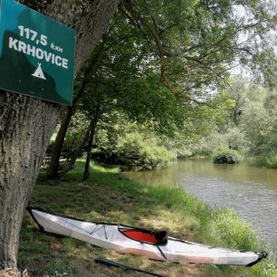 Pod Krhovicemi začíná ta správná divočina - Meandry Dyje