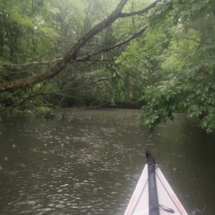 Během vydatného deště jsem se opravdu cítila jako bych byla v Amazonii
