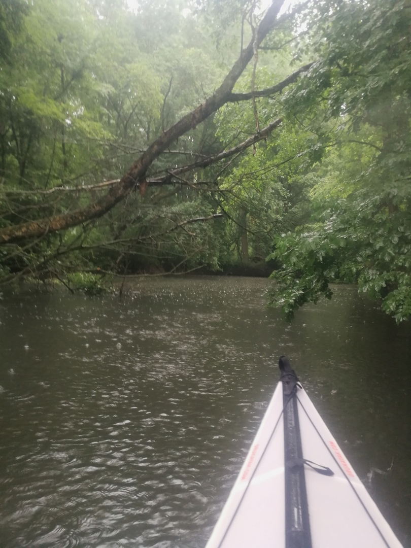 Během vydatného deště jsem se opravdu cítila jako bych byla v Amazonii